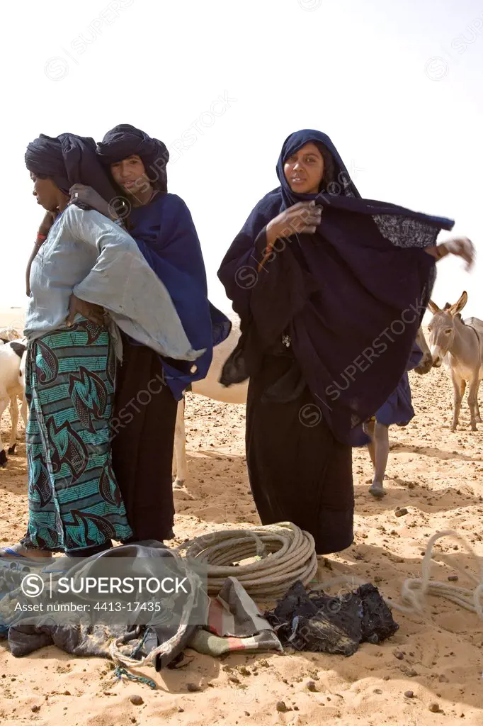 Tuaregs at wells with their herds Desert of Tenere Niger