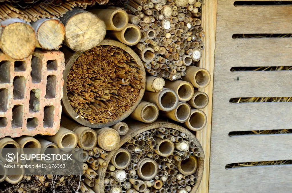 Insect hotel in a garden Vosges France