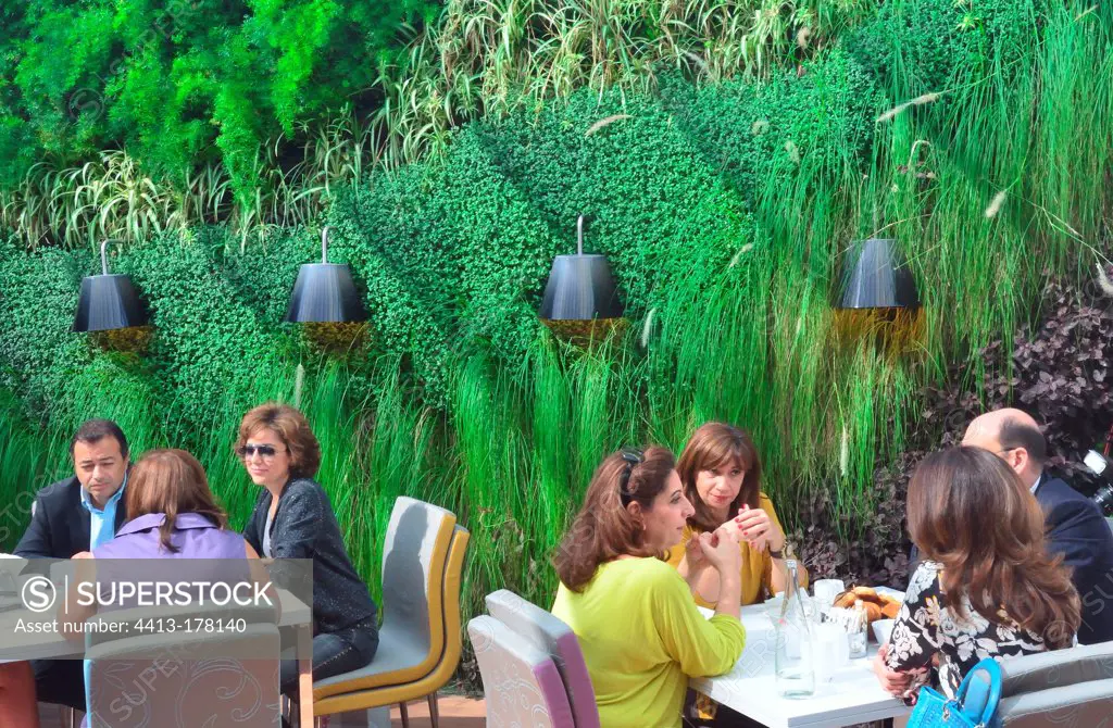 Plant wall in the restaurant Stay in Beirut Lebanon