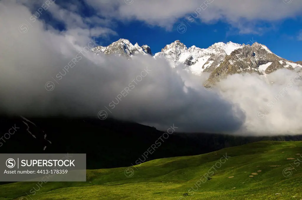 Alpine pasture in front of snow-covered peaks Meije massif