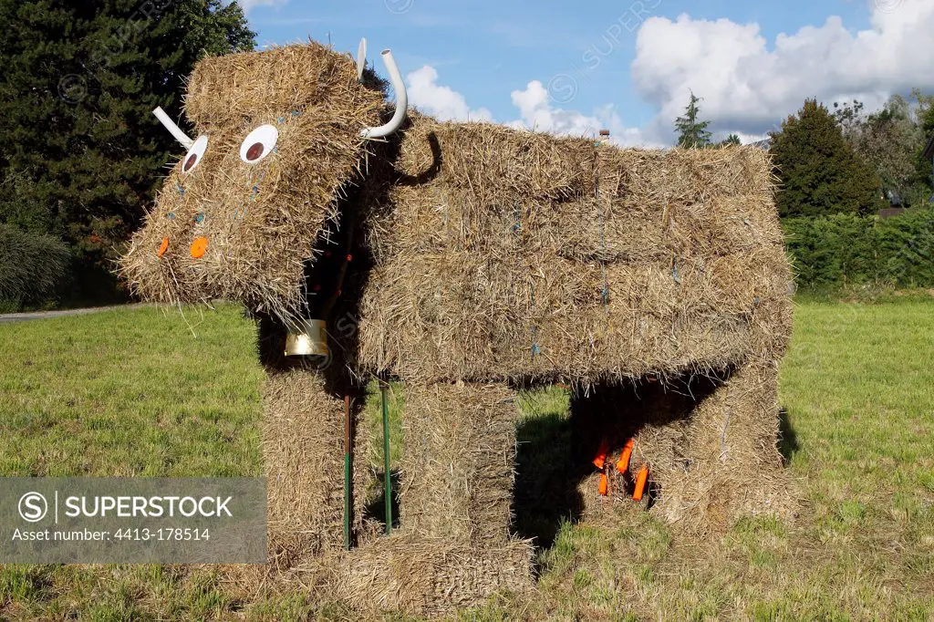 Cow made with straw stacks in a field France