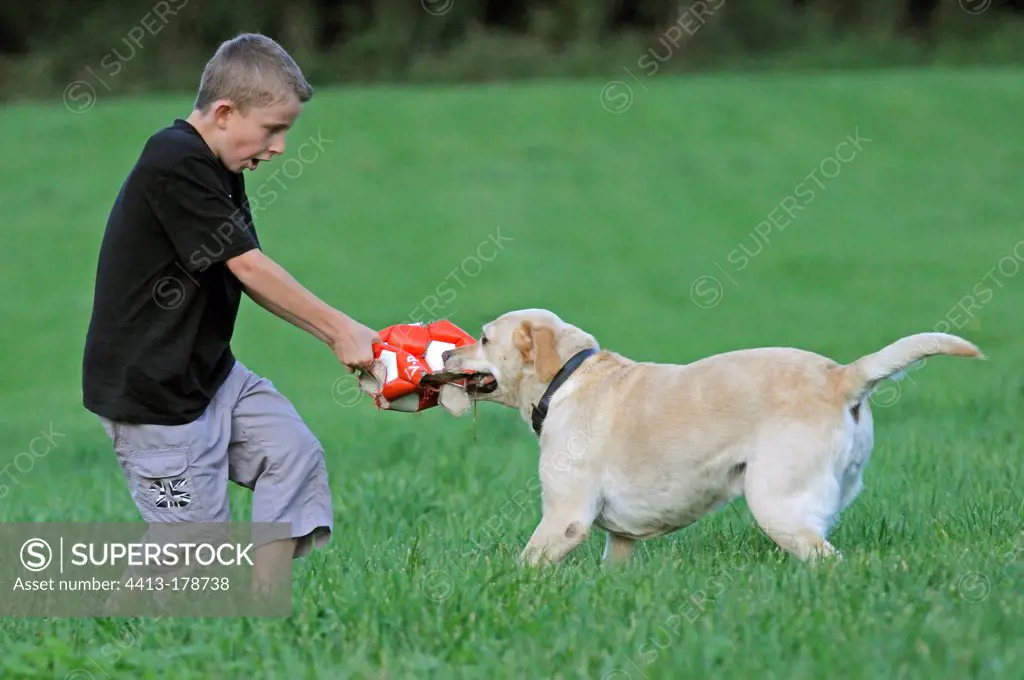 Boy playing with a Labrador in a meadow France