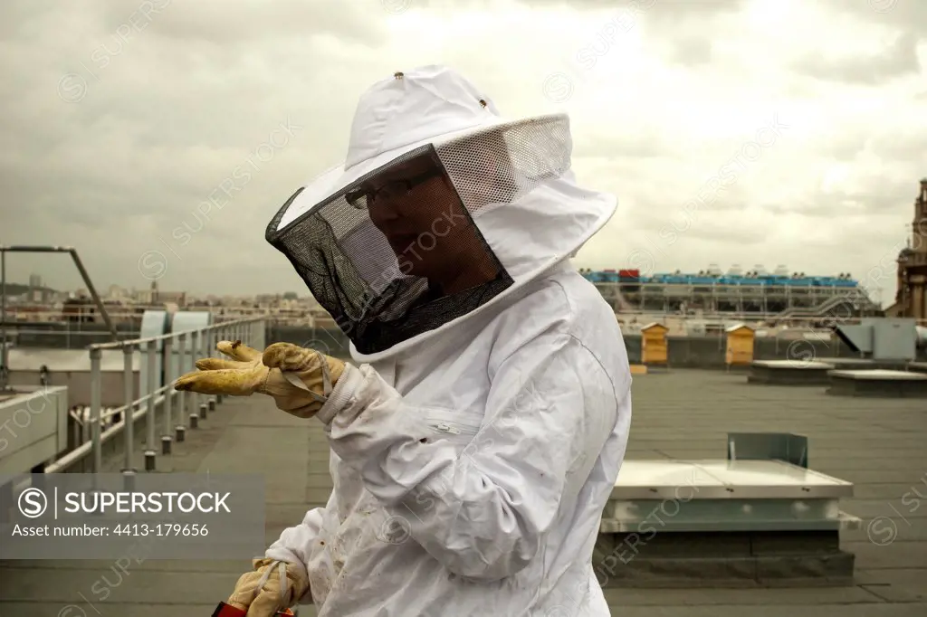 Beekeeper collecting honey from beehives on rooftops