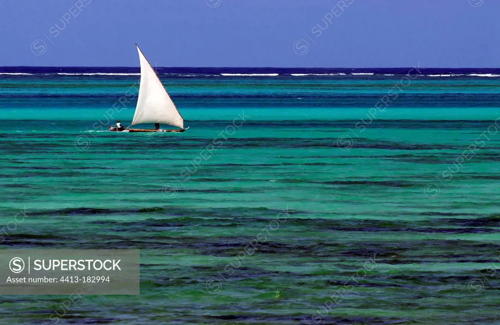 Sailing canoe in the Boutre lagoon Zanzibar