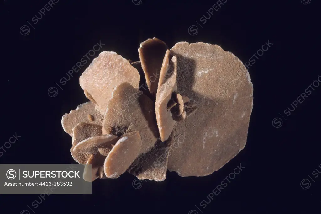 Gypsum desert rose