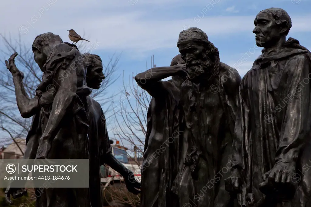 Northern Mockingbird on a Rodin sculpture Washington USA