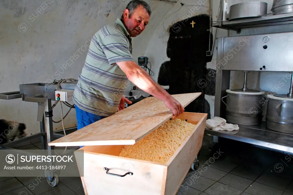 Salers cheese making Monts du Cantal AuvergneFrance