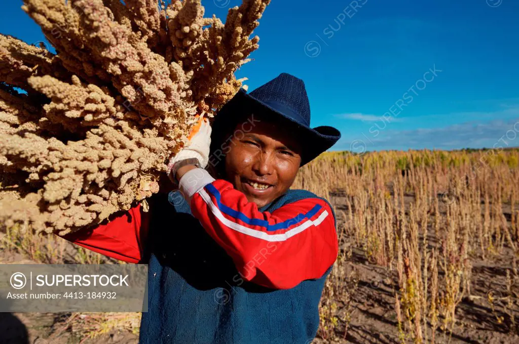 Quinoa producer of organic and fair trade in Bolivia