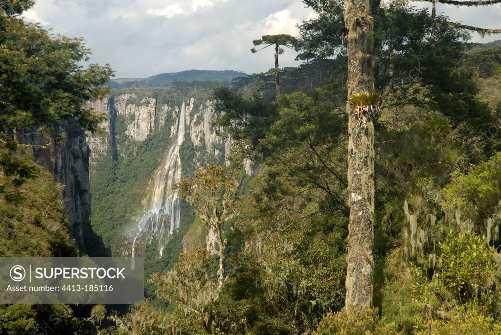 Waterfalls site of Itaimbezinho in the Aparados NP Brazil