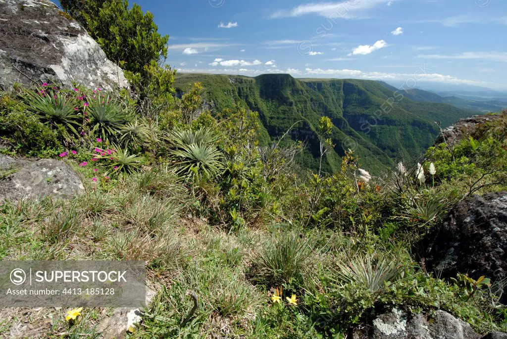 Fortaleza Canyon NP in the Serra Geral in Brazil