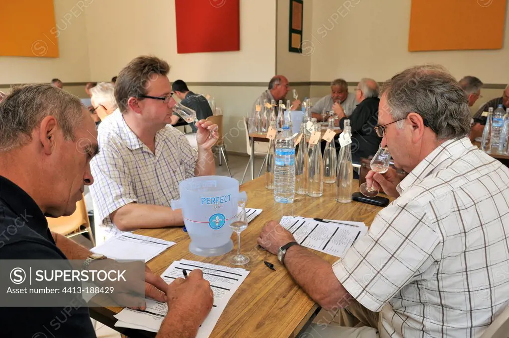 Taste panel to obtain the AOC in FougerollesFrance