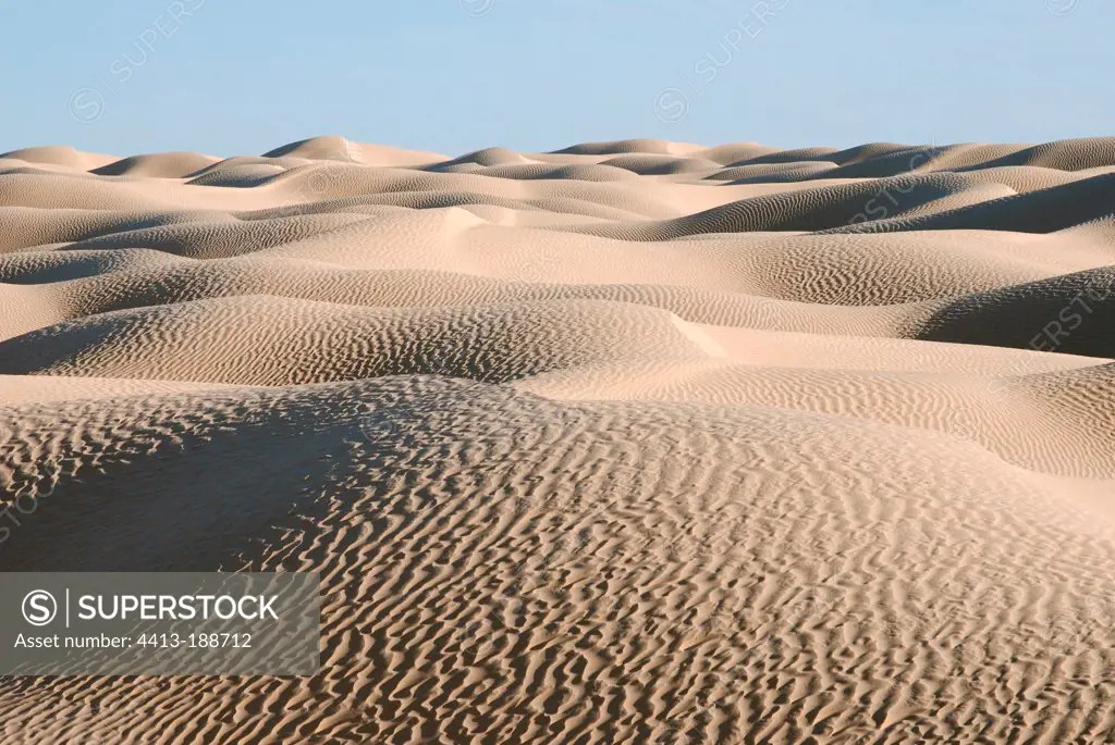 Sand dunes in the Sahara desert in Tunisia