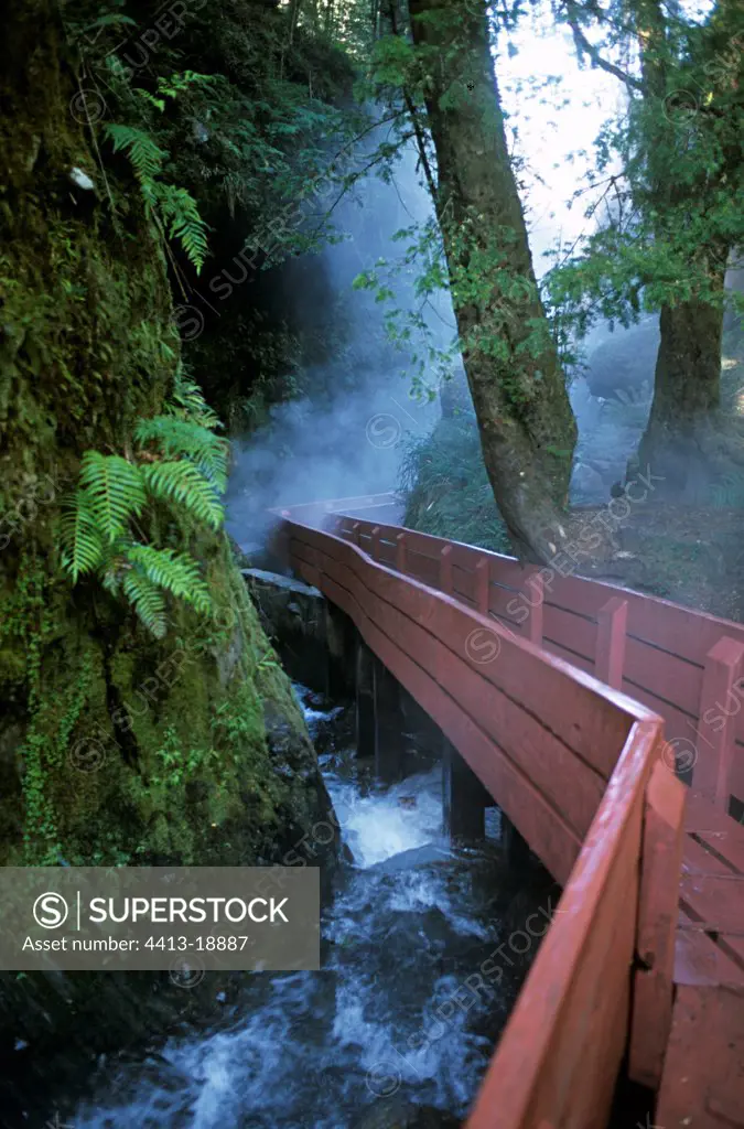 Bridge out of red wooden with the top of a river