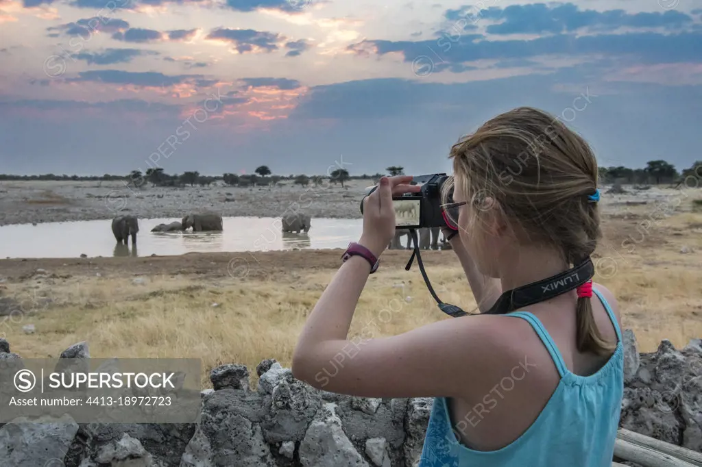 Young girl photographing African Elephants (Loxodonta africana) at waterhole, Etosha National Park, Namibia