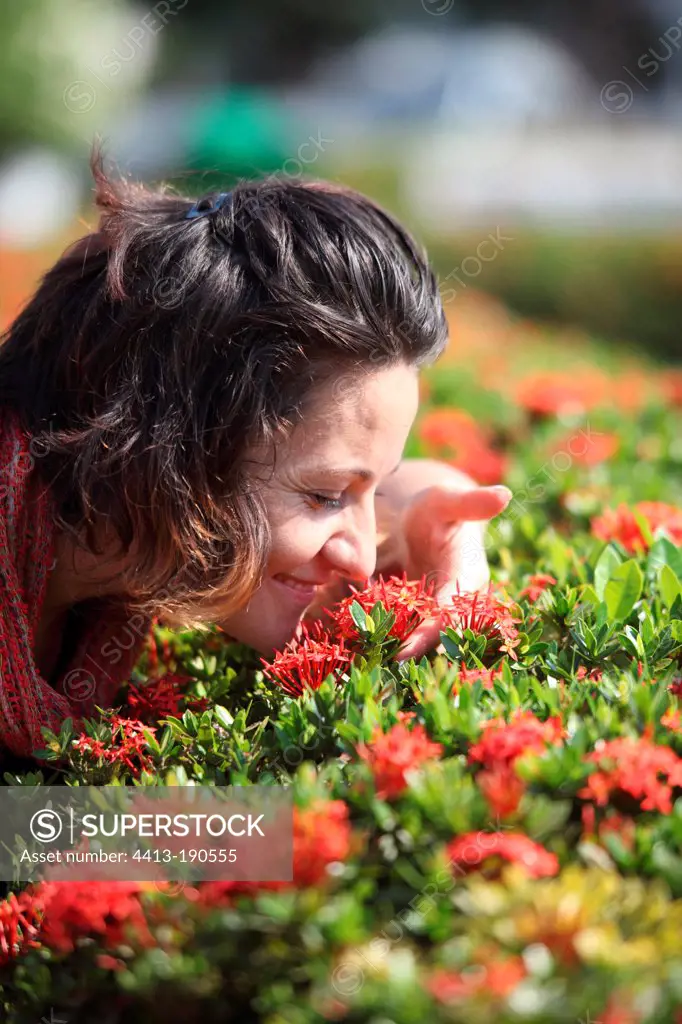 Young woman smelling a flower of Ixora in gardens Laos