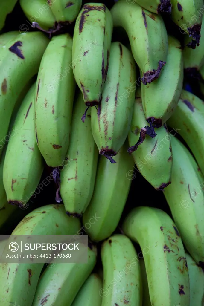Green bananas on a stall Kerala India