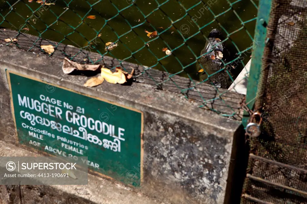 Crocodile Breeding abandoned Kerala India