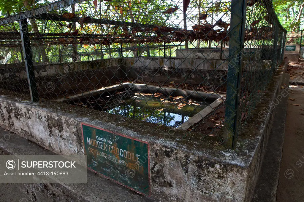 Crocodile Breeding abandoned Kerala India