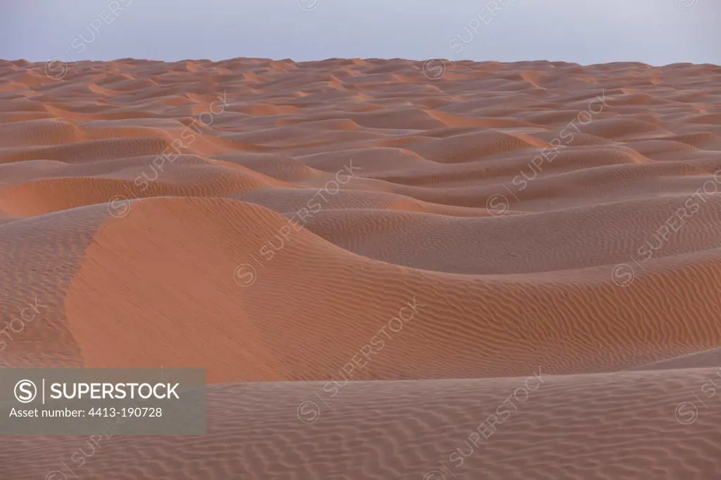 Ripples on the dunes Grand Erg Oriental Tunisia