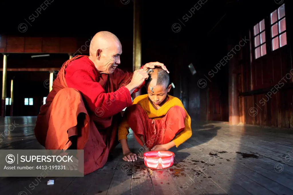 Shaving the hair of a young monk monastery Nyaungshwe