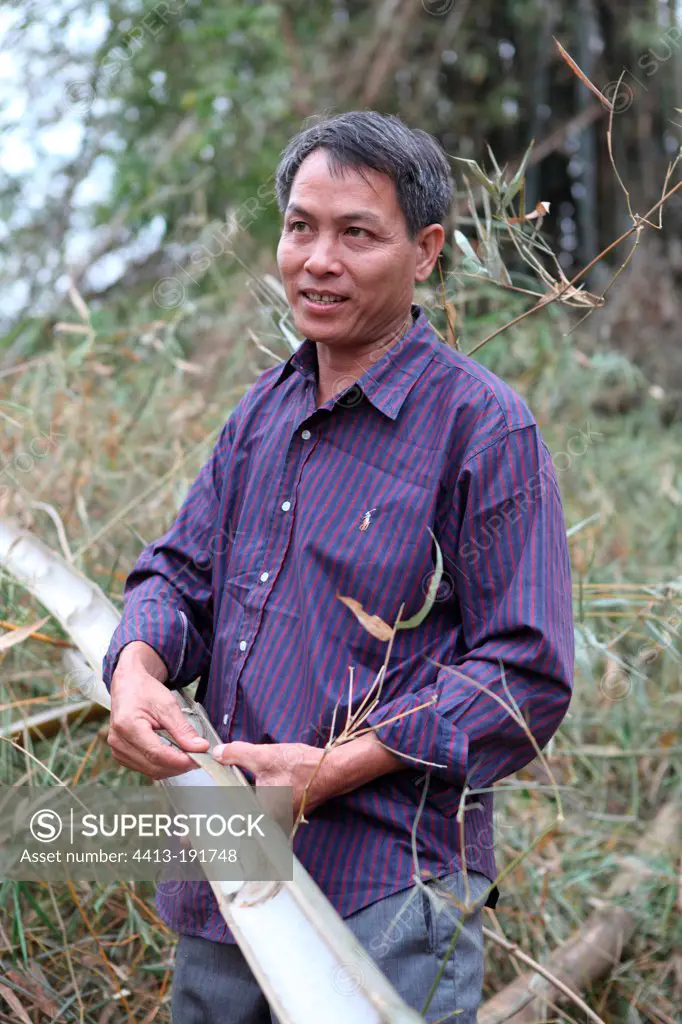 Man in a Bamboos plantation in Laos