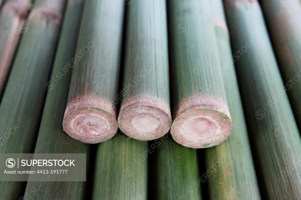 Bamboo stalks filed down with a machete in a workshop in Laos