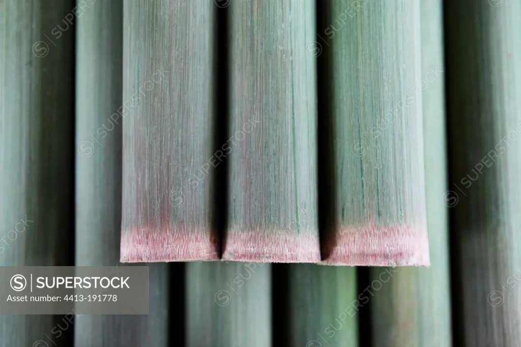 Bamboo stalks filed down with a machete in a workshop in Laos