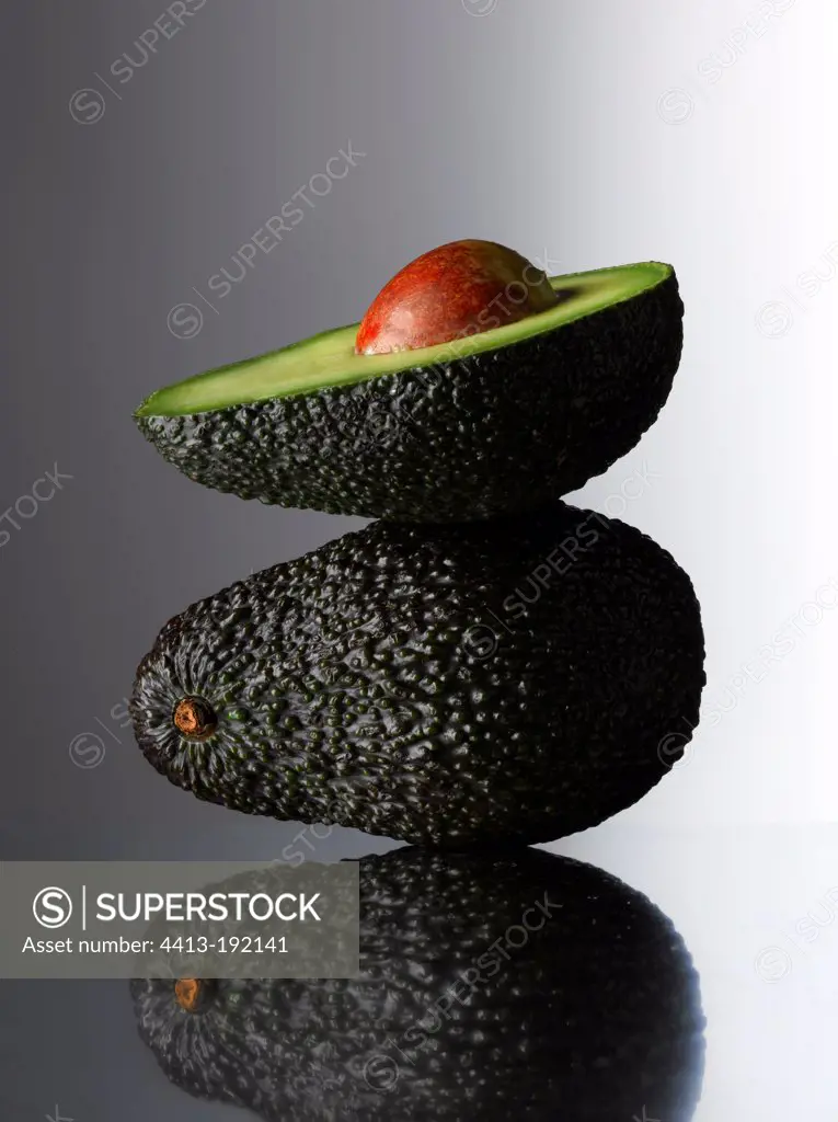 Avocadoes in the studio