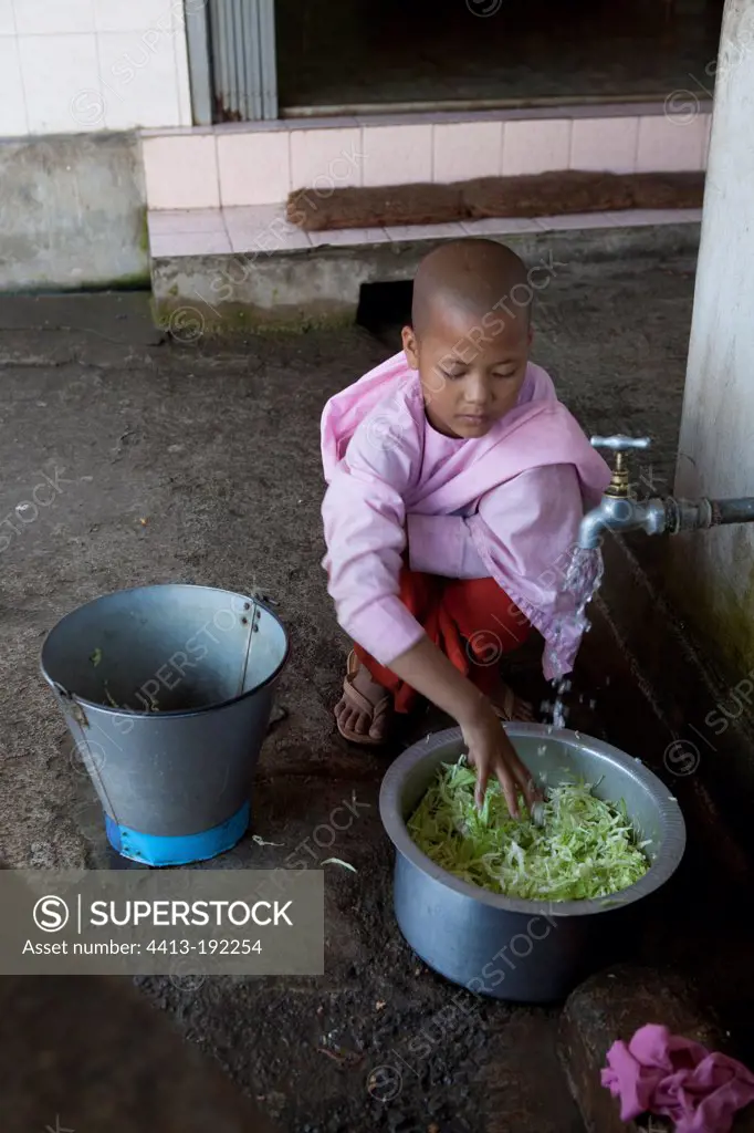 Nun washing vegetables to prepare the meal Burma