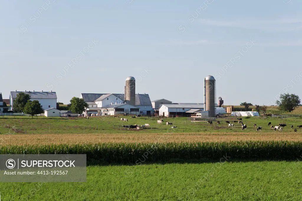 Amish farm in Pennsylvania USA