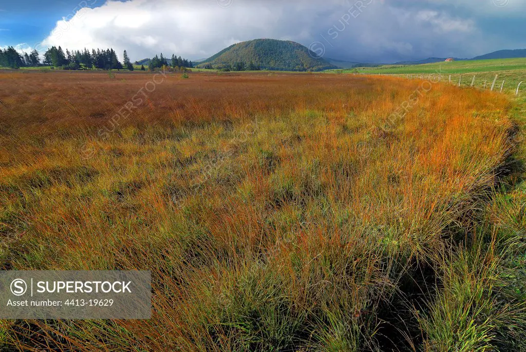 Peat bog of the Lake Bourdouze & puy of Montcineyre France