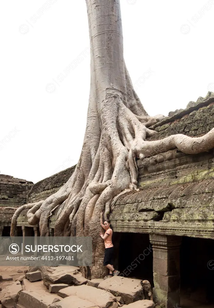 Tourists visiting the temple of Ta Prohm at Angkor Cambodia