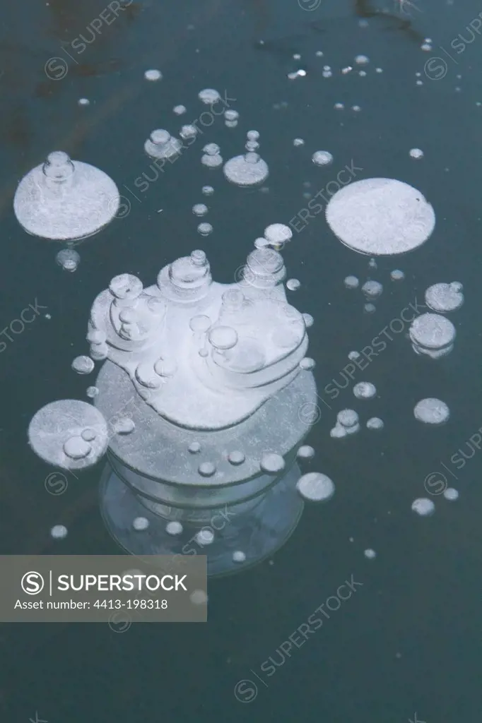Air bubbles in the ice of Lac de Madine in winter Lorraine