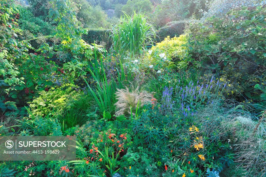 English garden abounding in Bath in Britain