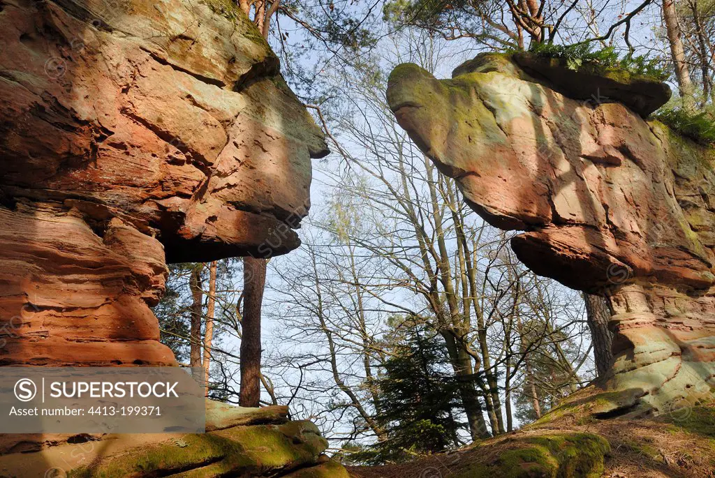 Sandstone rocks in Vosges du Nord RNP France