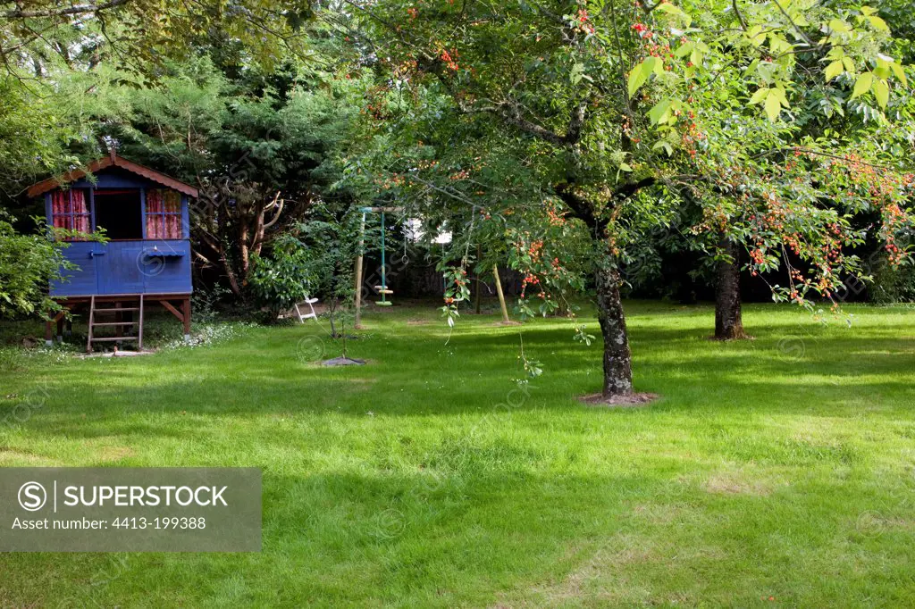 Children garden shed and cherry trees in a garden