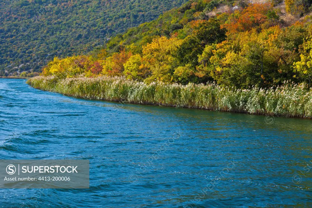 Krka River in autumnDalmatia Croatia