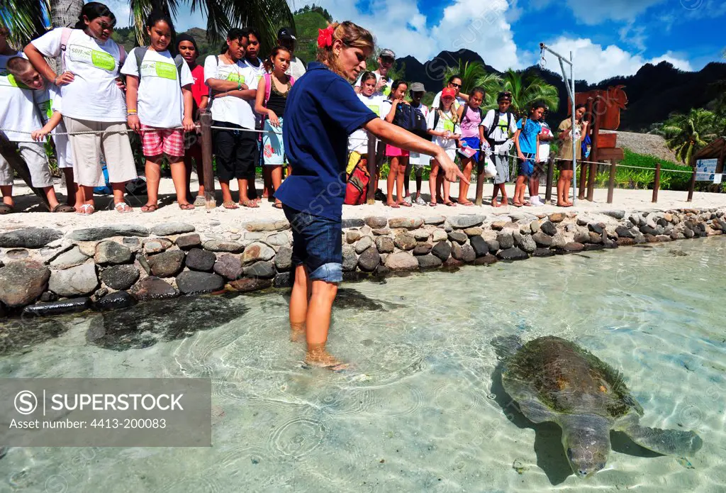 Schoolchildren Trainer and Sea Turtle Moorea Polynesia