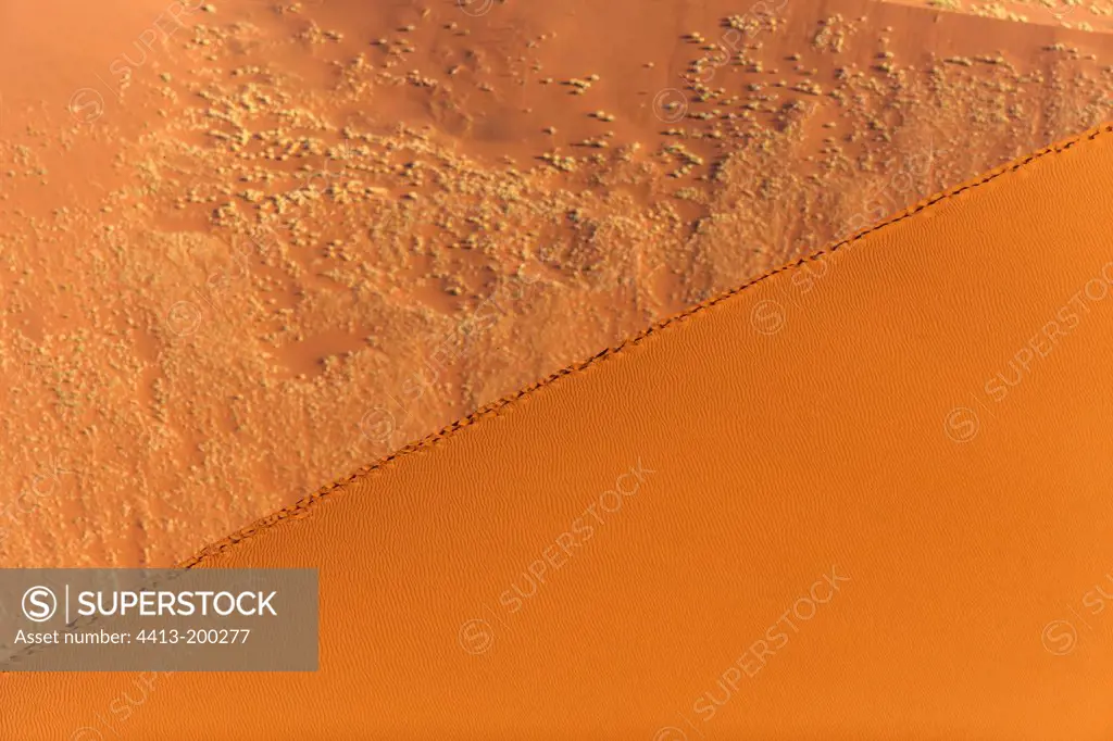 Footprints on a sand dune Namib Desert Namibia