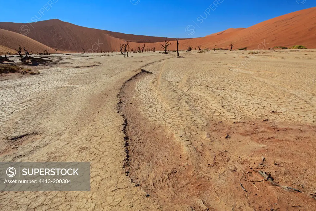 Dry lake Namib Desert Dead Vlei Sossusvlei Namibia