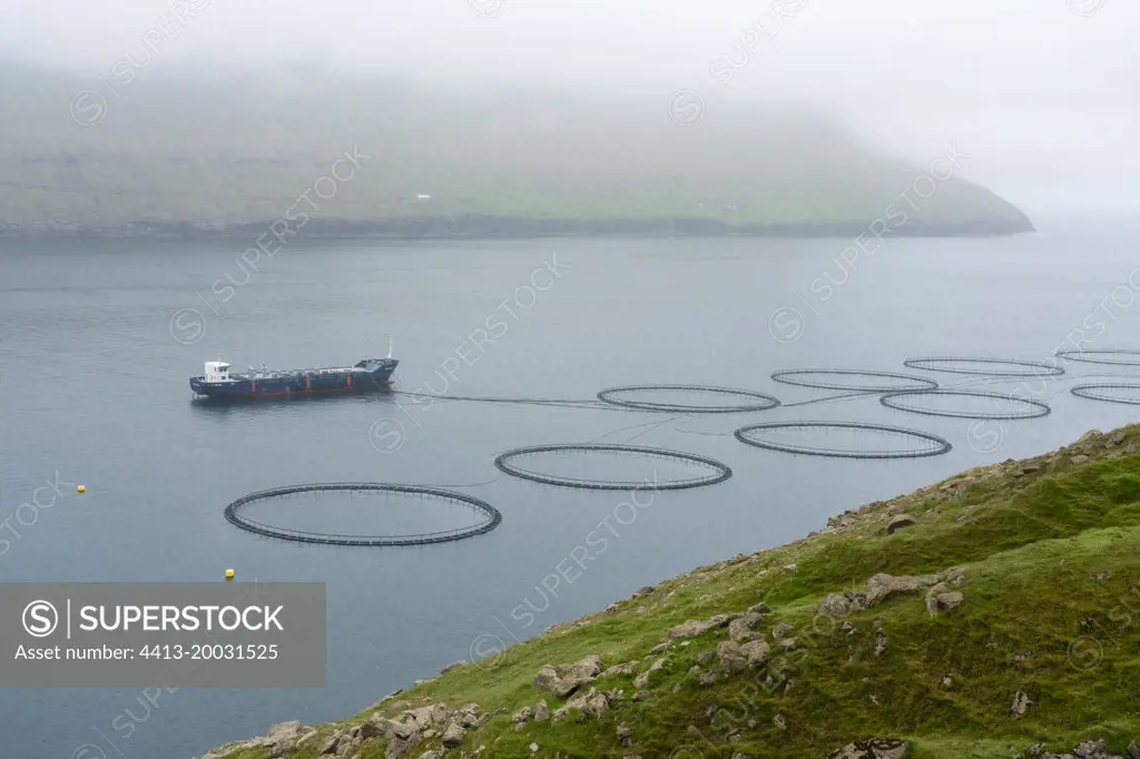 Salmon farm, Vidoy Island, Faroe Islands, Denmark.