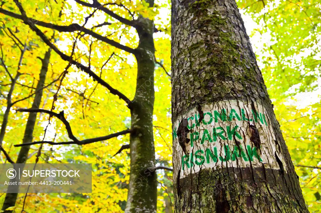 Brand of the Risnjak NP on a tree trunk Croatia