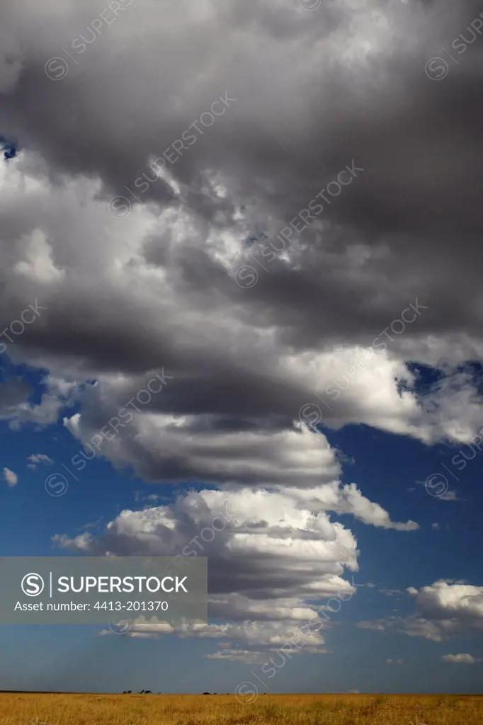 Formation of a storm over the savannah Masai Mara Kenya