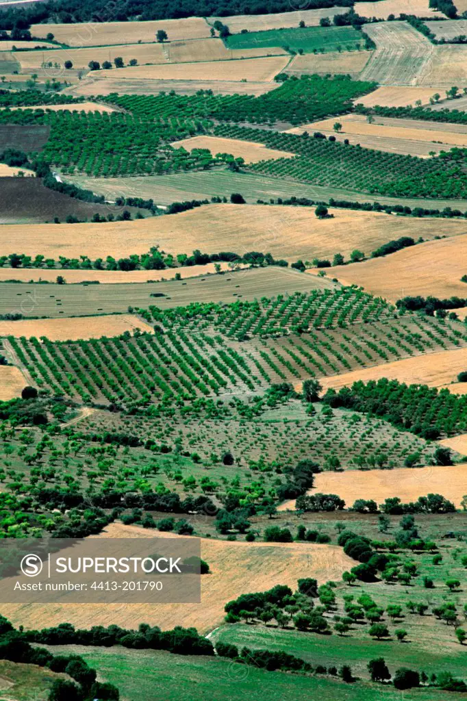 Mediterranean agricultural landscape Vall d'Àger Catalonia Spain