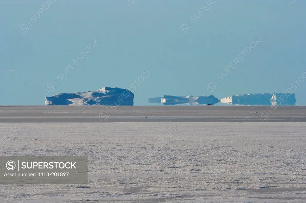 Ice floe and mirage effect of icebergs Terre Adelie