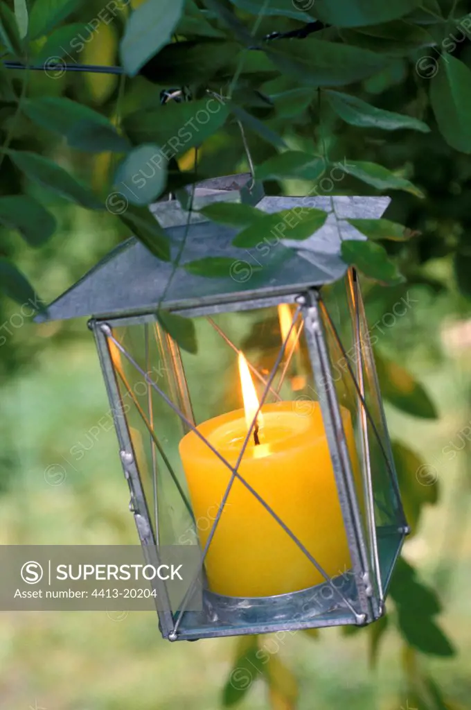 Lantern lit fixed on a branch France
