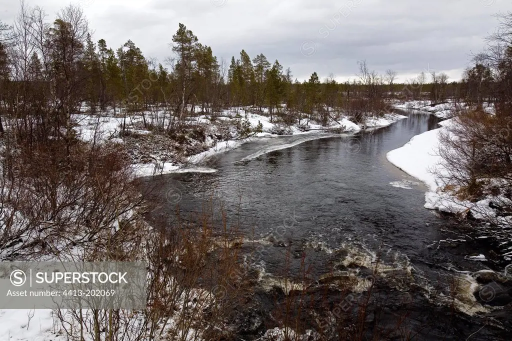 River in the National Park of Ovre Pasvik in winter Norway