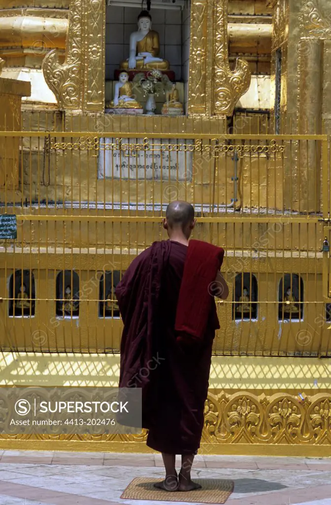Bhikkhu praying in front of a little statue of buddha Burma