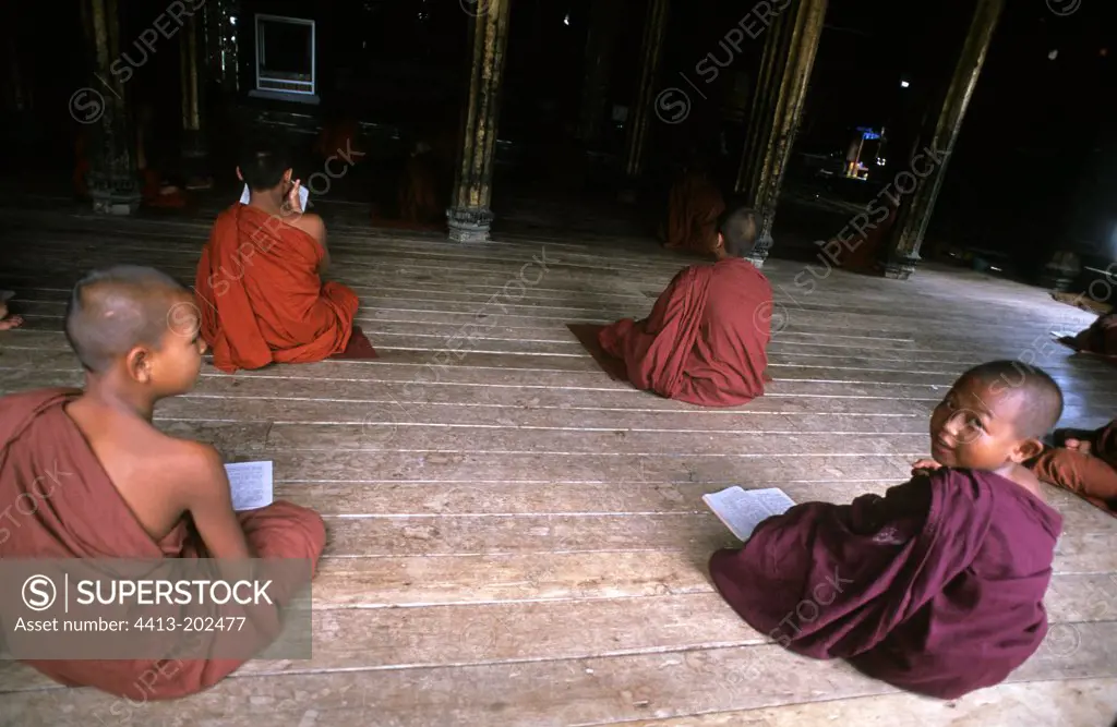 Young bhikkhus praying in a monastery Burma