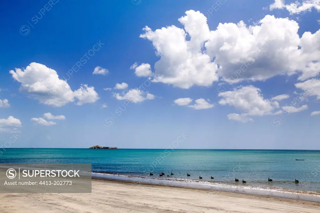 Virgin beach of Pacific coast Panama